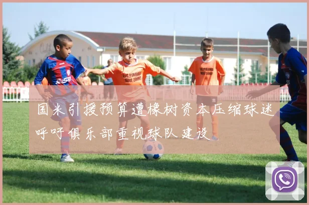 国米引援预算遭橡树资本压缩球迷呼吁俱乐部重视球队建设