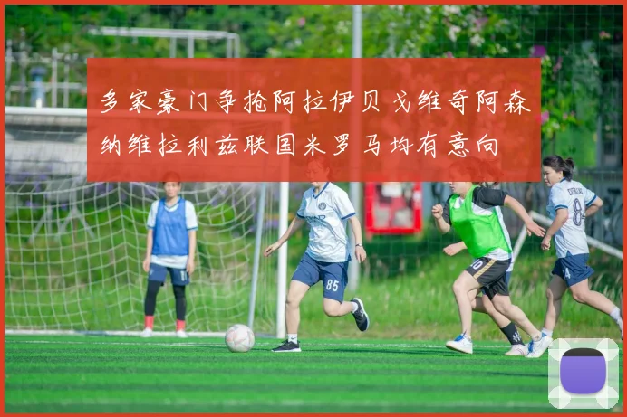 多家豪门争抢阿拉伊贝戈维奇阿森纳维拉利兹联国米罗马均有意向